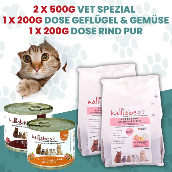 Kallisbest Probierpaket für Katzen Trockenfutter, Nassfutter & Leckerli